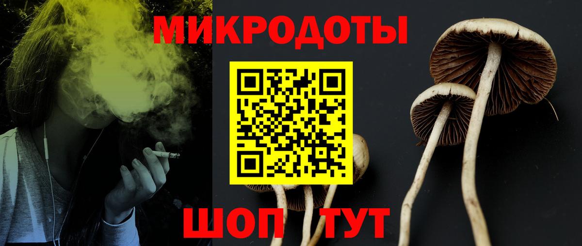 Жигулёвск  цены наркотик  Вход с VPN  Псилоцибиновые грибы Cubensis 